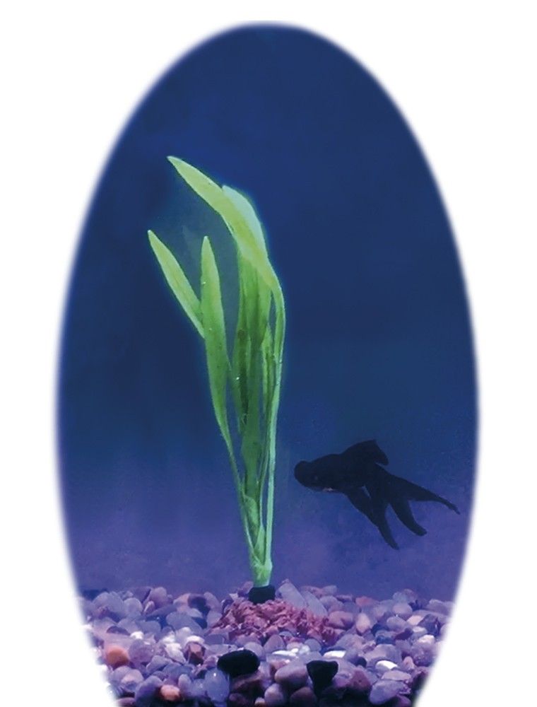 Planta din silicon BOLIVIAN SWORD | 11,5 CM