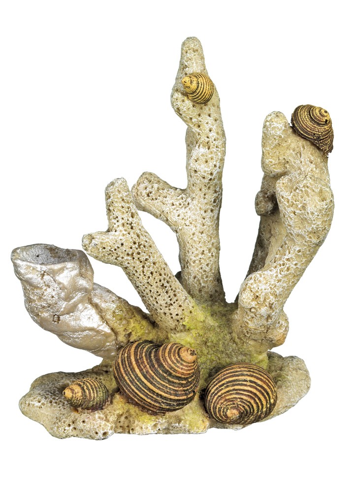 Ornament pentru acvariu 'CORAL' | 10,0 x 6,8 x 11,5 cm