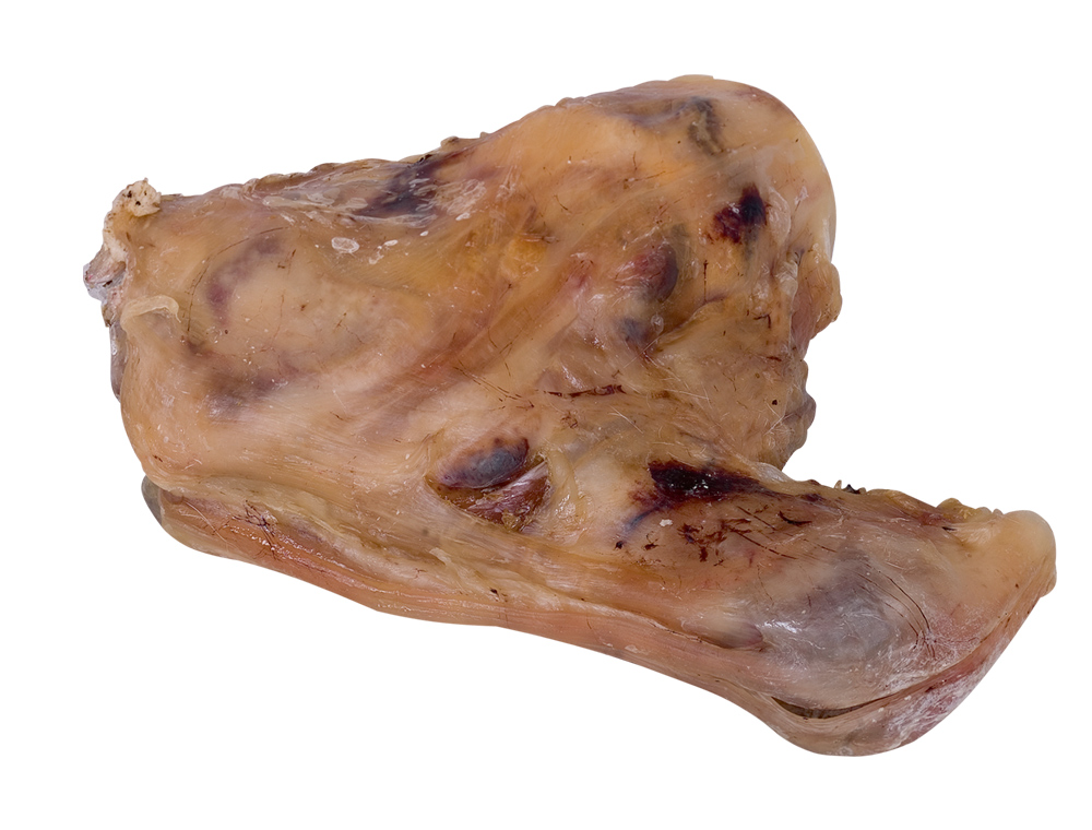 Glezna uscată de vită | 16-18 cm | 750g pentru câini