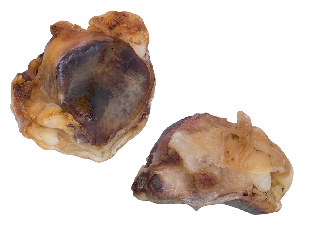 Genunchi uscat de vită | 2 buc pentru câini