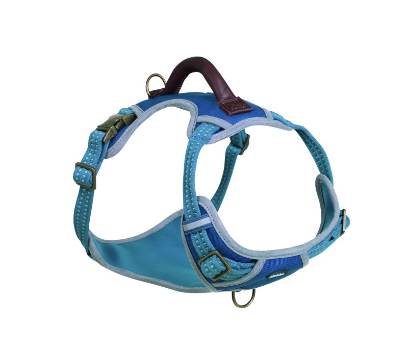 Ham 'SPORTY' | S-M | gât: 30-45 cm, piept: 45-62 cm, w: 20 mm | albastru