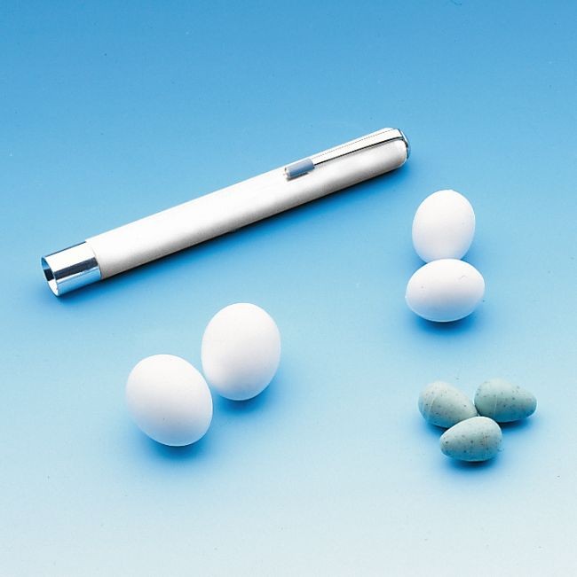 PENTRU CANDIDAT EGGS