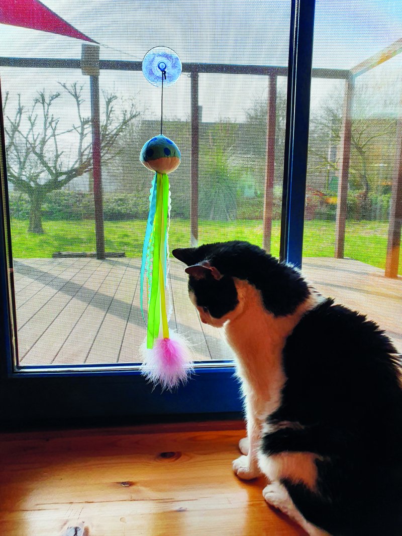 Jucarie cu catnip pentru pisici | 'Ventosa' | 45 cm