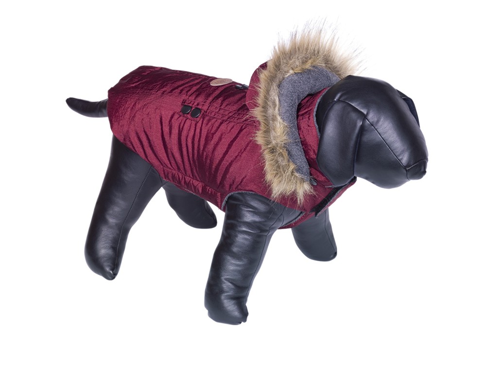 Haină pentru câini 'LIAM' | bordeaux | 23 cm