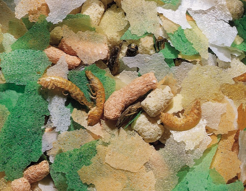 FLOCARE PENTRU IAZ, PACHET 3000 ML