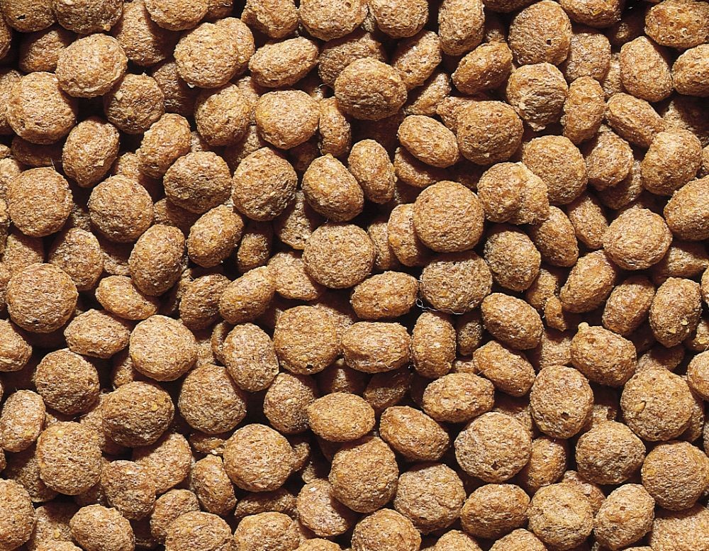 Hrana pentru crapi KOI | sac 33 L