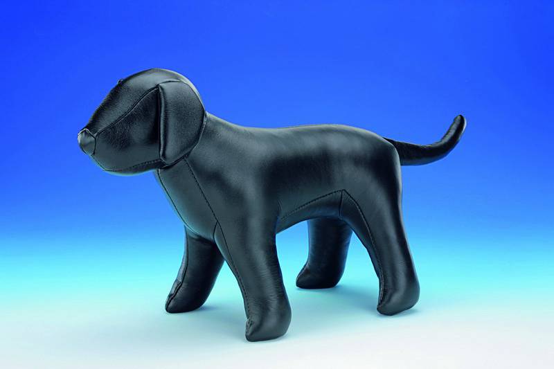 Câine/model prezentare haină | negru | 25 X 30 CM