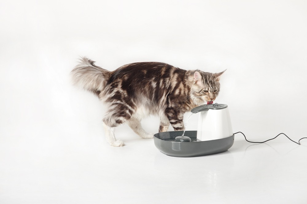 Fântână pentru câini și pisici 'CASCADE' | 1,5 LTR | 34 X 28 X 17 CM