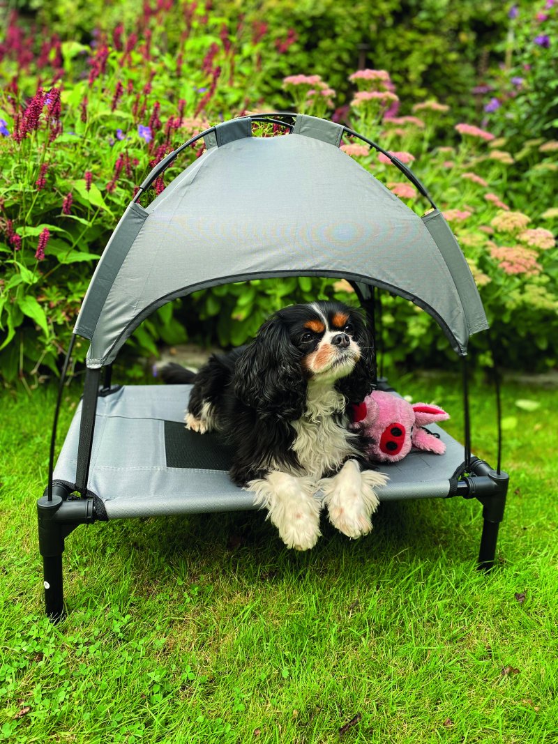 Culcus pentru câini 'Chill Cool' cu parasolar | 76x61x18 cm
