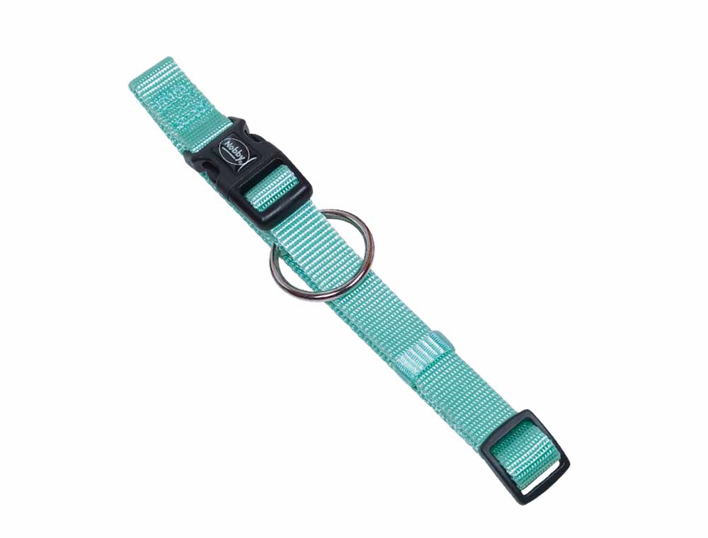 Zgarda pentru câini 'CLASSIC' | menta | L: 20-35 CM; W: 10 MM