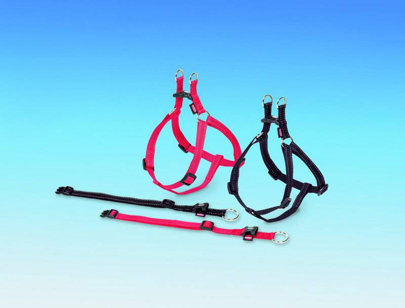 Zgarda 'CLASSIC REFLECT' rosu L: 13-20 CM; W: 10 MM pentru câini