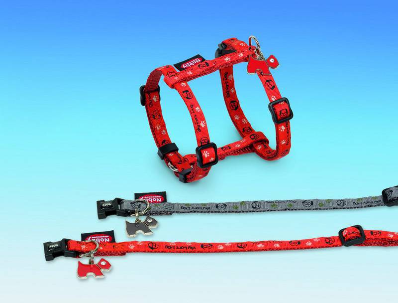 Zgarda 'BIG EARS' gri L: 13-20 CM; W: 10 MM pentru câini