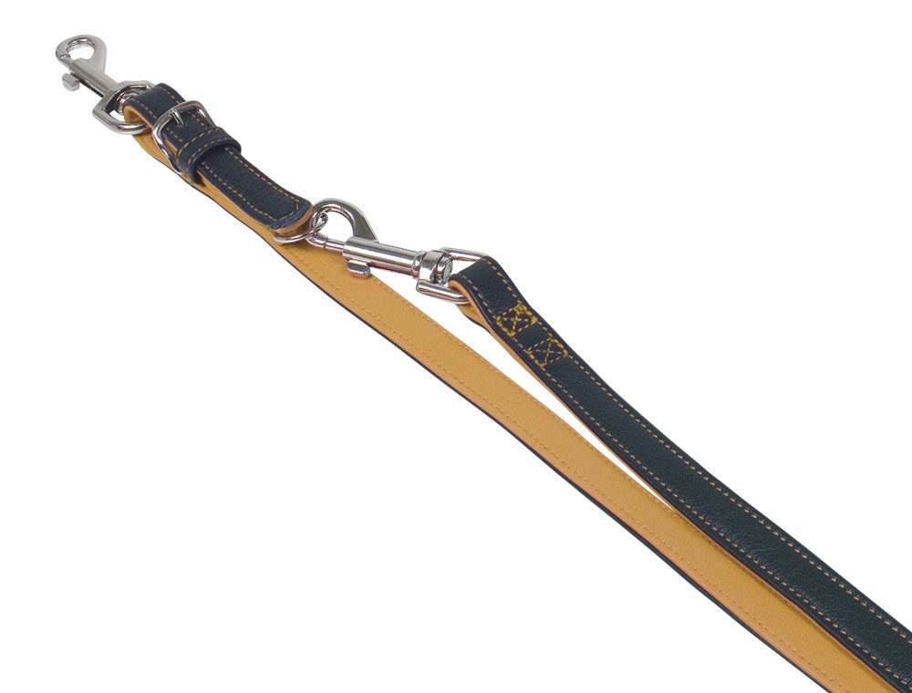 Lesă de antrenament 'PACIFIC', GIRASOLE 2 M; 18 MM pentru câini