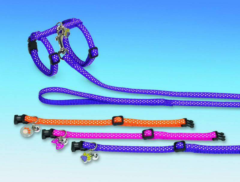 Zgarda pentru pisici 'DOTS' portocalie