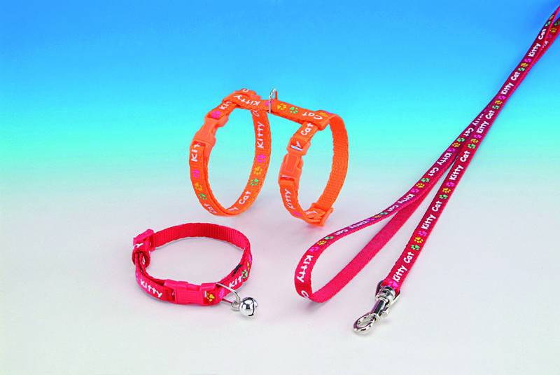 SET 'KITTY CAT' ORANGE pentru pisici