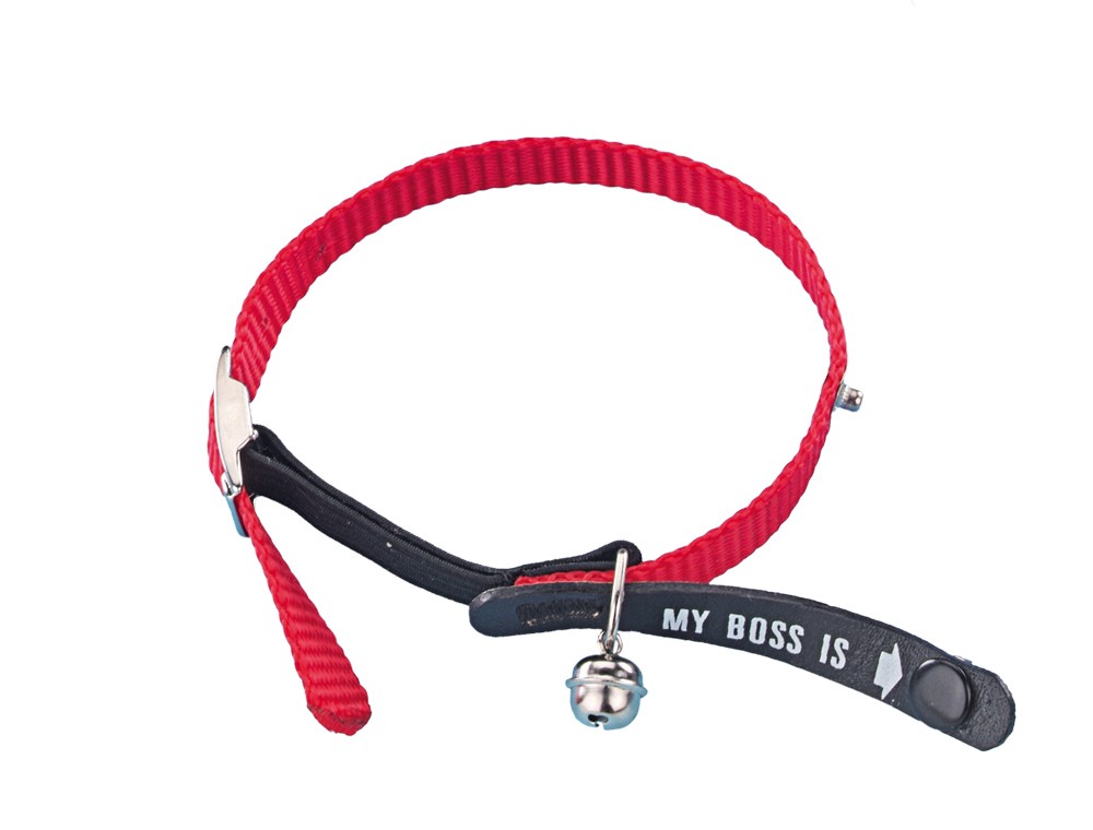 Zgarda cu adresier 'MY BOSS IS' nylon pentru pisici | rosu ; L: 20 - 30 cm; B: 10 mm