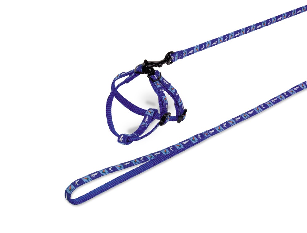 Set nylon pentru iepuri 'Morcov', albastru