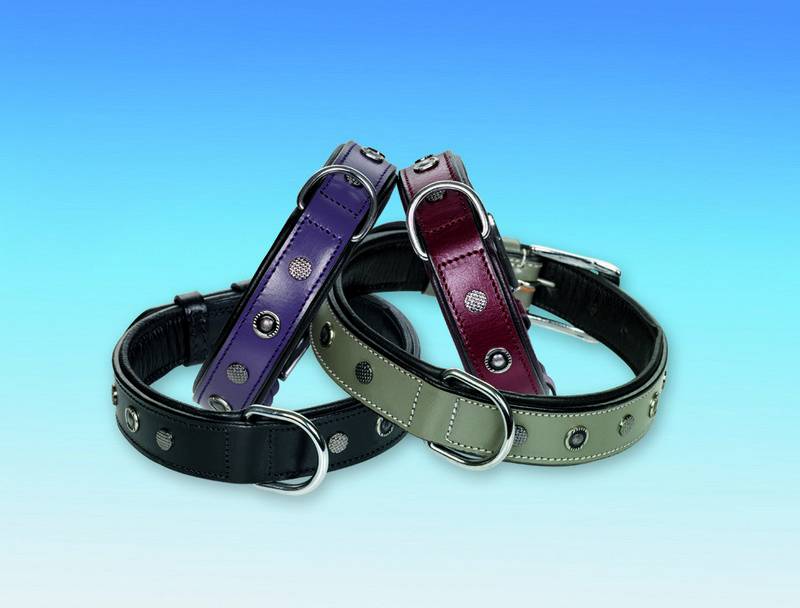 Zgarda Piele Catori Rosu/Negru L27 B25 pentru câini