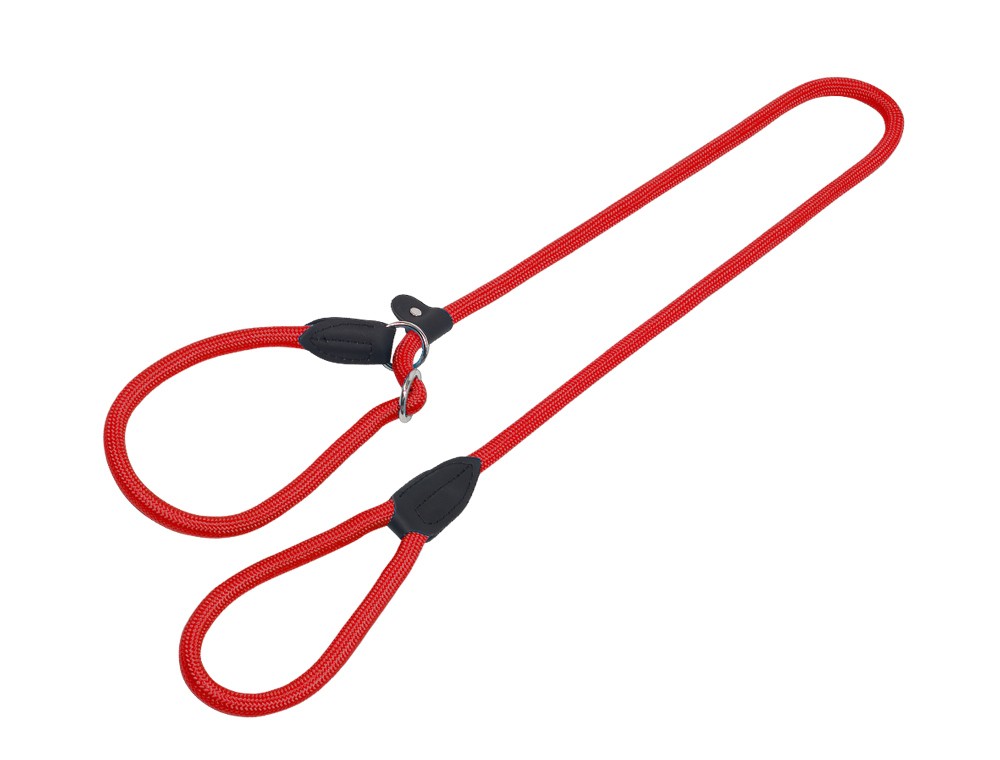 Lesă pentru câini RETRIEVER 'FUN ROYAL', RED L: 170 CM; W: 13 MM