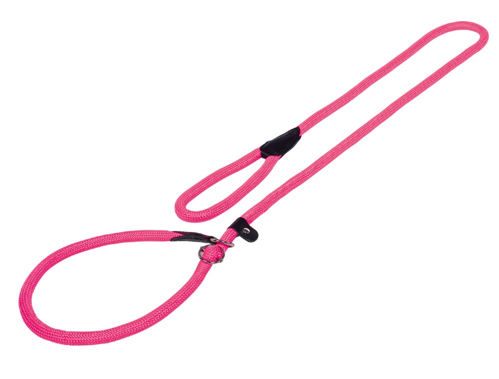 Lesă pentru câini RETRIEVER 'FUN ROYAL', NEO PINK L: 170 CM; W: 13 MM