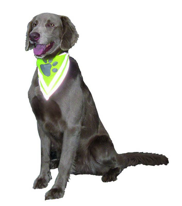 BANDAJ DE SIGURANȚĂ, MĂRIME XS-S pentru câini