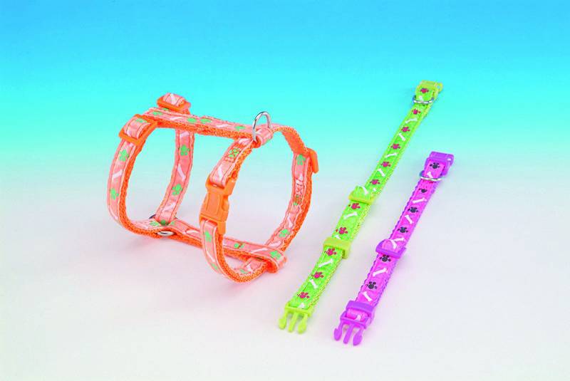 Zgarda pentru caini 'MINI' | portocaliu | L: 13/20 CM; W: 10 MM