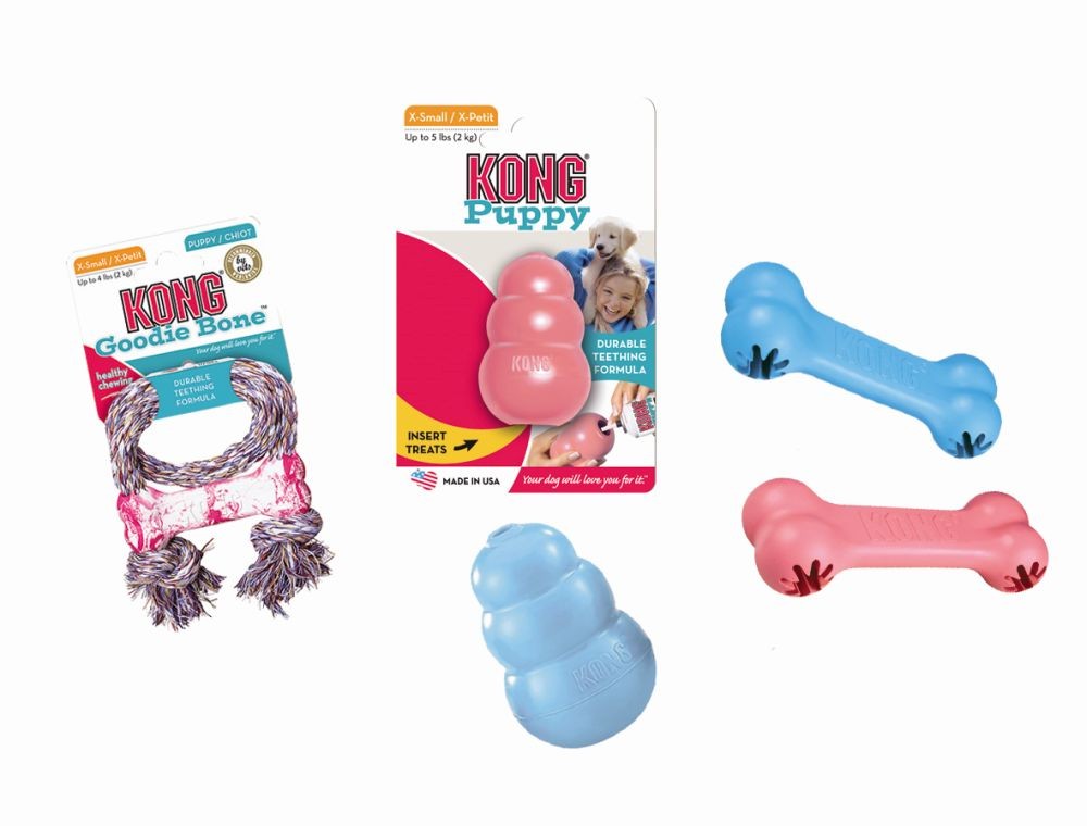 Jucărie pentru câini 'KONG PUPPY' | S | pentru cățeluși