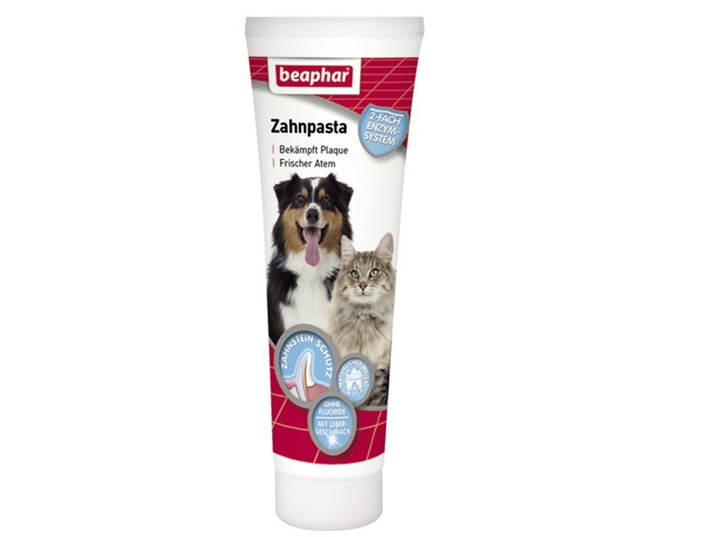 PASTĂ DE DINȚI, 100 G