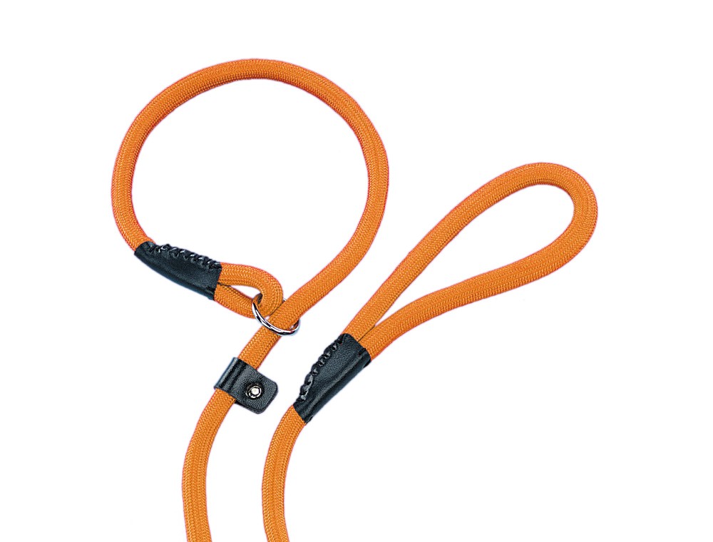 Lesă pentru câini RETRIEVER 'FUN UNI', ORANGE L: 170 CM; W: 9 MM