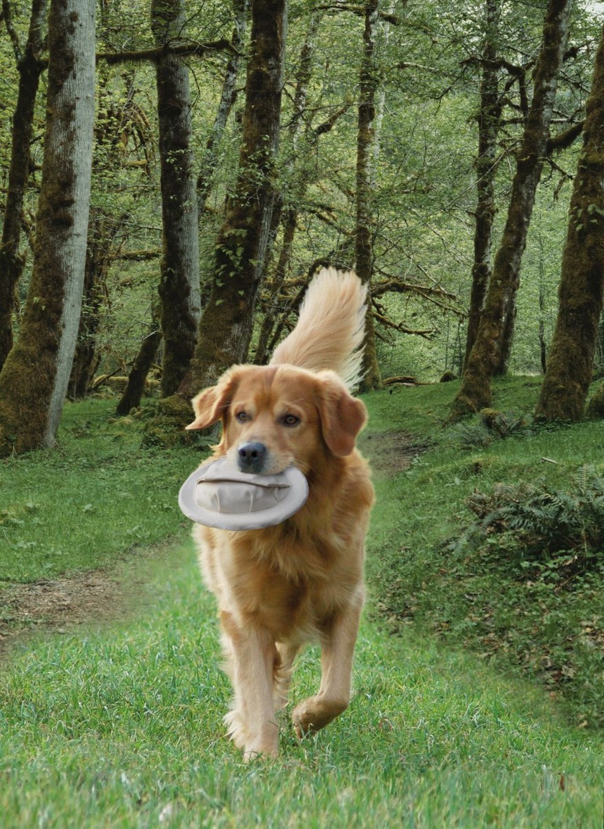 Jucărie pentru câini | 'FLYBEE' | Ø 20 CM