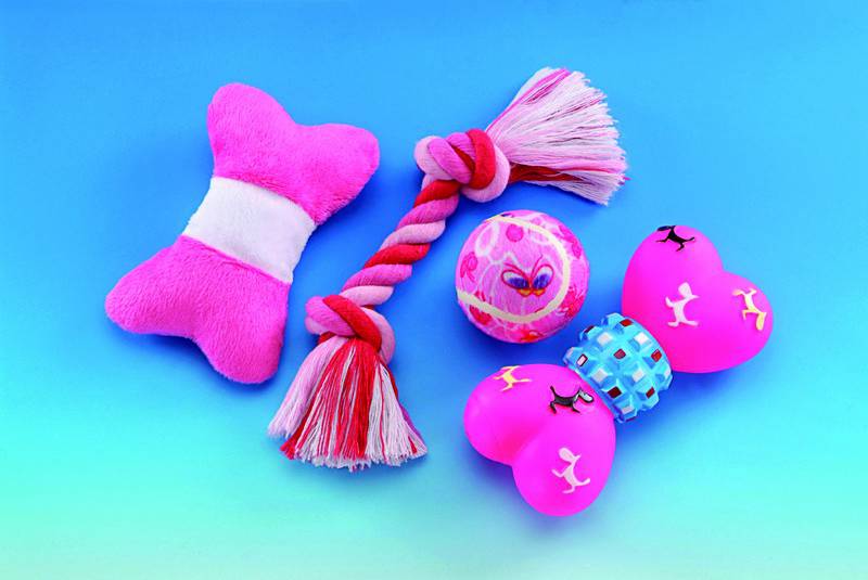 SET STARTER, ROZ 4-BUC