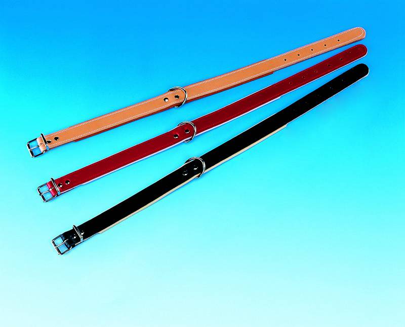 ZGARDĂ MONTANA ROȘU PENTRU CÂINI L 27CM B 12/16MM