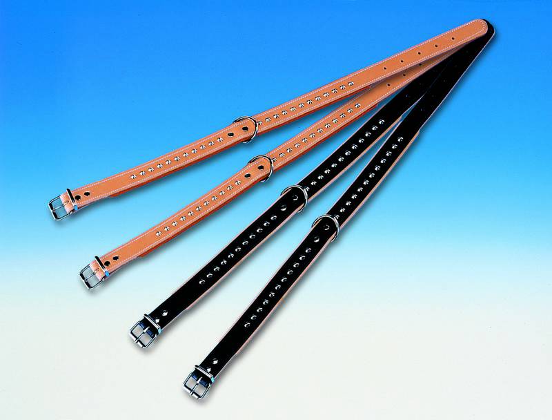 Zgarda Texas Negru L 32CM B 12/16MM pentru câini