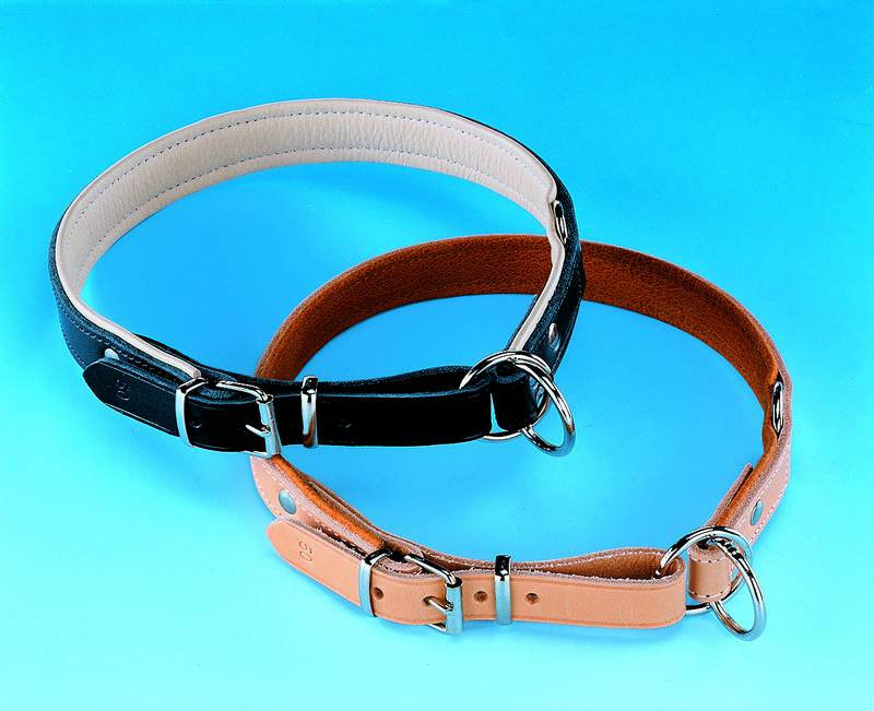 ZGARDĂ MONTANA NATUR PENTRU CÂINI L 35CM B 15MM