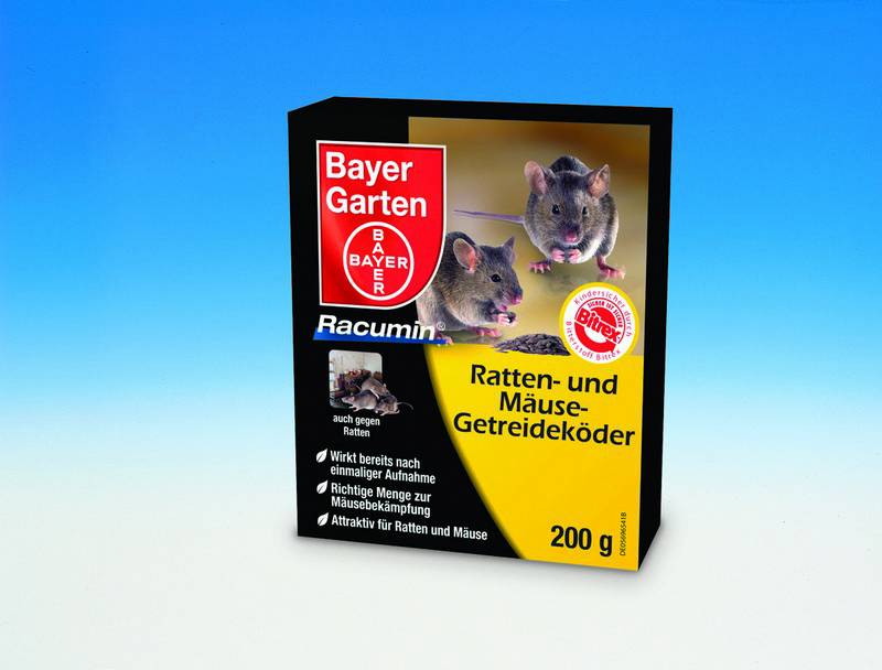 RACUMIN FORTE MOMEALĂ DIN PORUMB, 500 G