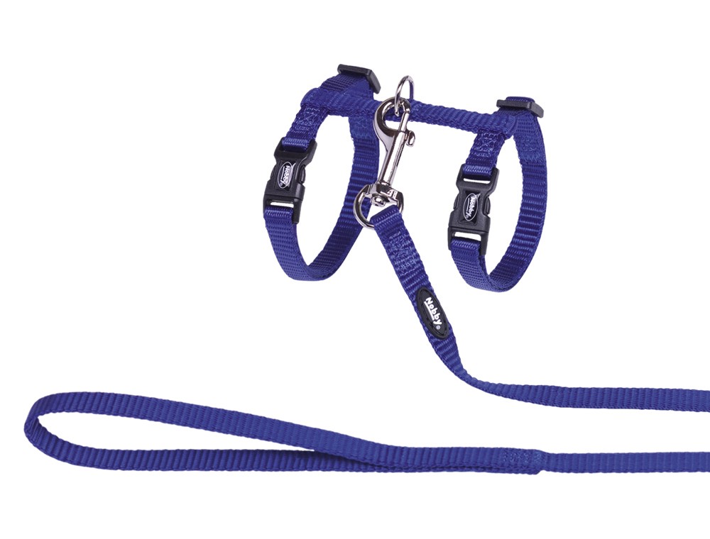 Set pentru pisici | albastru