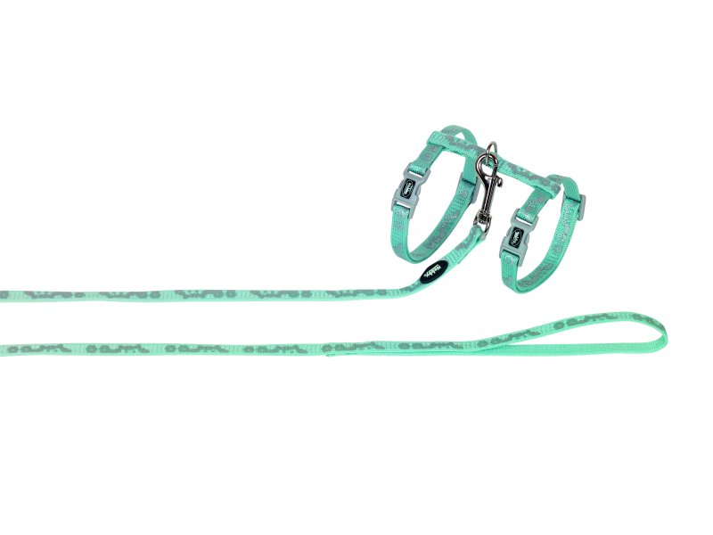 Set ham si lesa pentru pisici | 'Cat Head' | menta