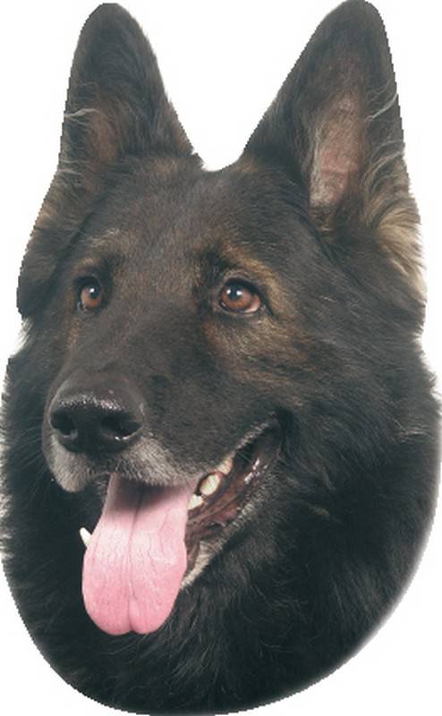 STICKER GRONENDAEL 120 X 150 MM; 2 PIESE