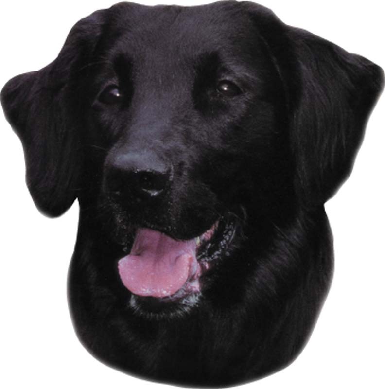 STICKER FLAT COATED RETRIEVER 120 X 150 MM; 2 PIESE