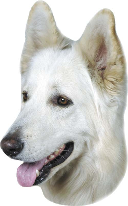 STICKER GERMAN SHEPHERD WHITE 120 X 150 MM; 2 PIESE