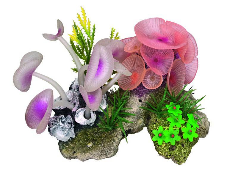 Accesorii pesti | Ornament pentru acvariu | "CORAL STONE" - cu plante | L14 X W10 X H10 C