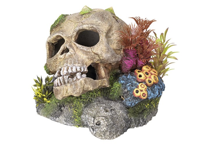 Accesorii pesti | Ornament pentru acvariu | "SCULL"- cu plante | L13,5 X W13,5 X H10,5 CM