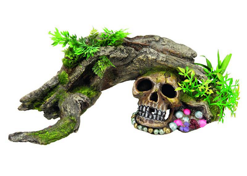 Accesorii pesti | Ornament pentru acvariu | "WOOD WITH SCULL" cu plante | L29,3 X W11 X