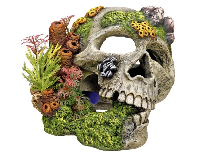 Accesorii pesti | Ornament pentru acvariu | "SCULL" | L19,5 X W16 X H14 CM