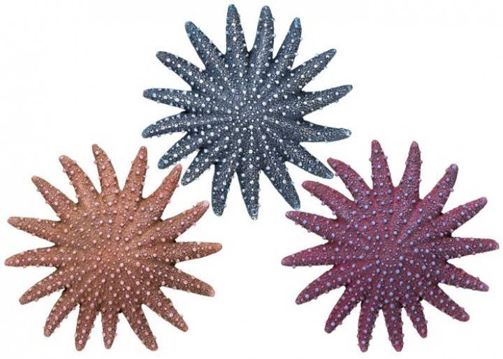 Accesorii pesti | Ornament pentru acvariu | "STARFISH" ASSORTMENT 3 | L15,5 X W15,5 X H3