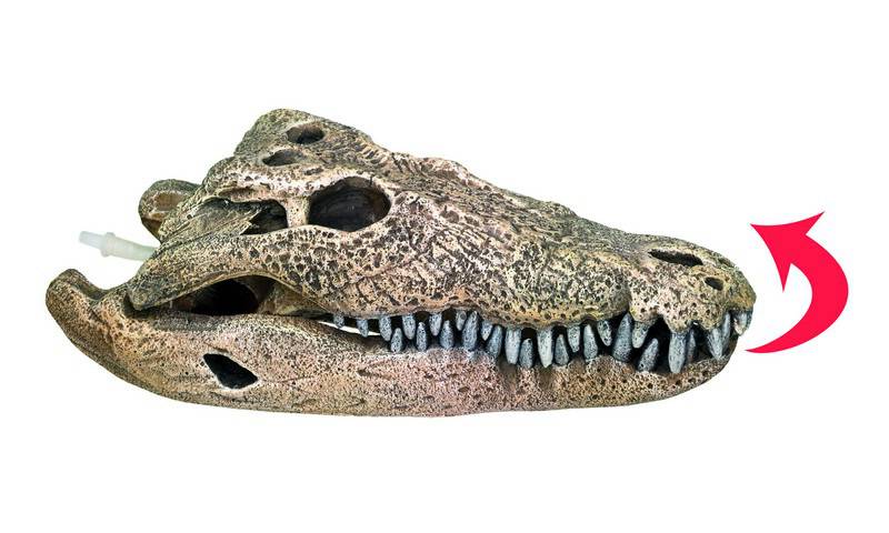 Accesorii pesti | Ornament pentru acvariu | "CROCODILE SKULL" | L22,5 X W11,5 X H7,5 CM