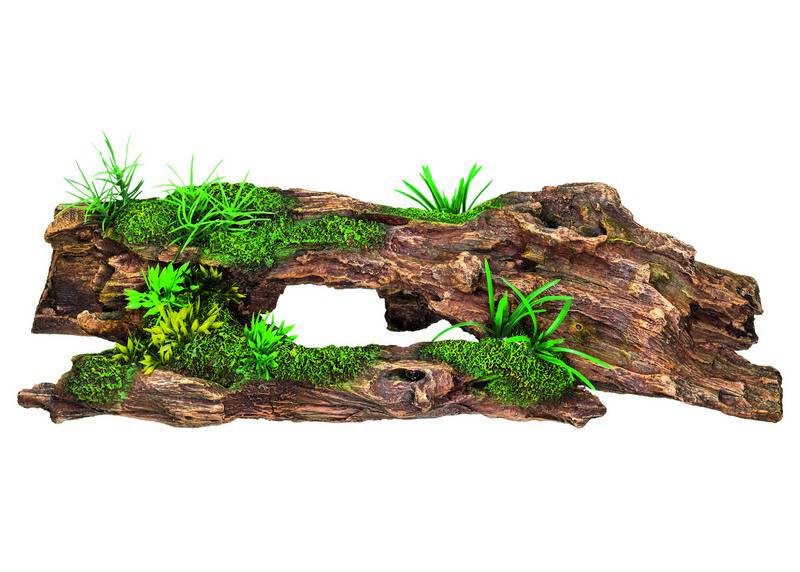 Accesorii pesti | Ornament pentru acvariu | "DRIFTWOOD"- cu plante | L37 X W17,5 X H10,5