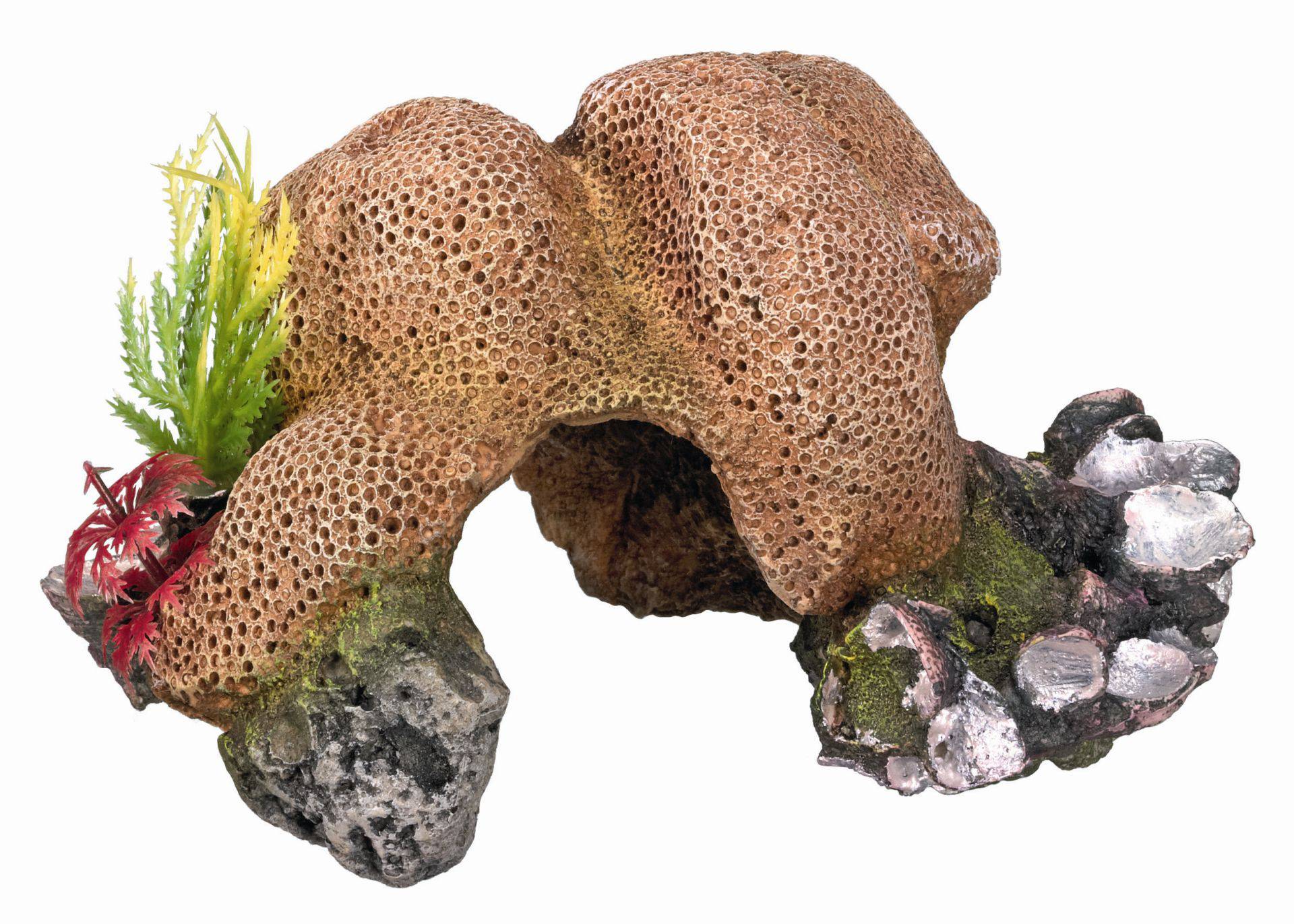 Accesorii pesti | Ornament pentru acvariu | "STONE CORAL" cu plante | L19 X W14,5 X H10,6