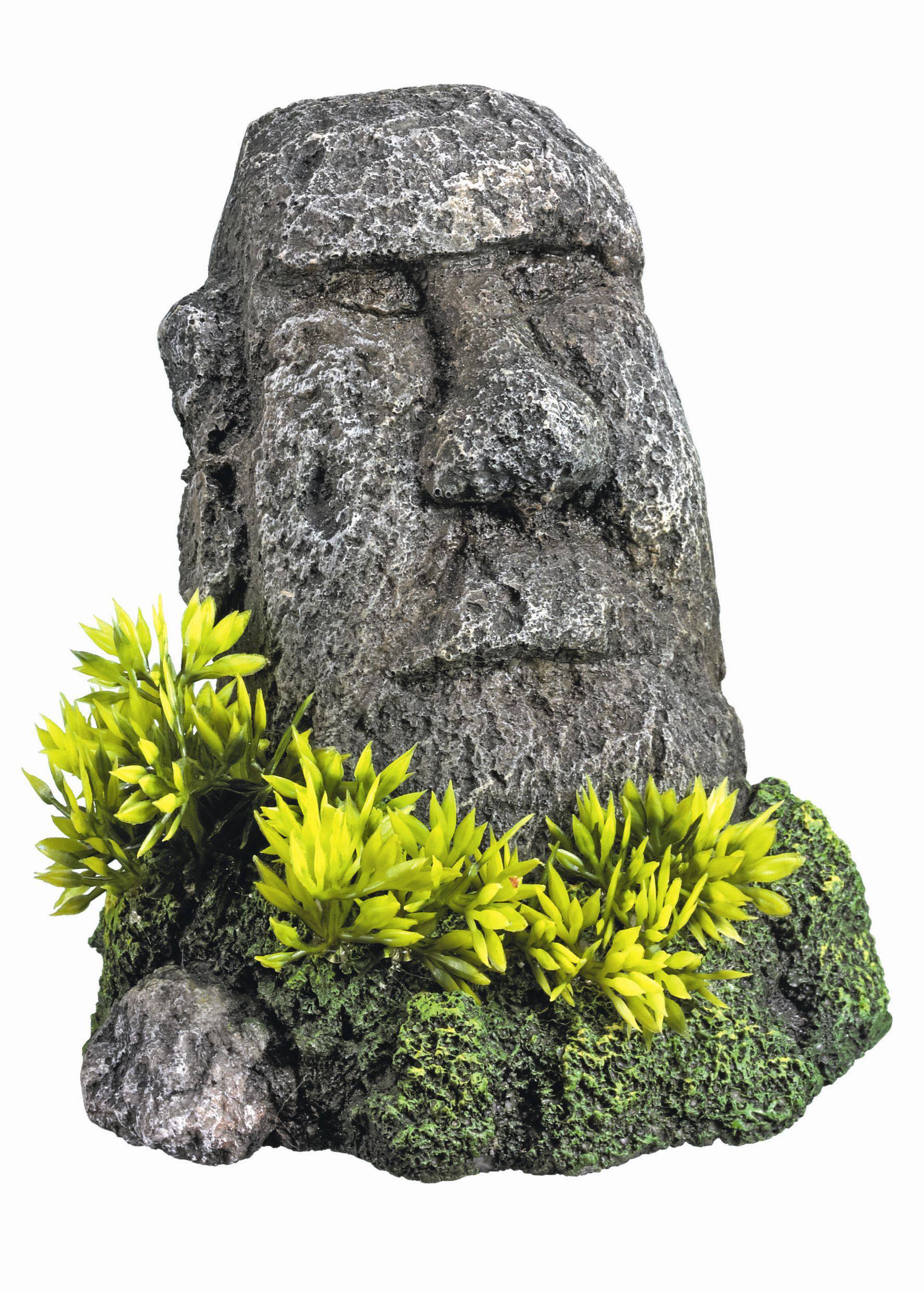 Accesorii pesti | Ornament pentru acvariu | "MOAI" cu plante | L12 X W11,5 X H12,3 CM