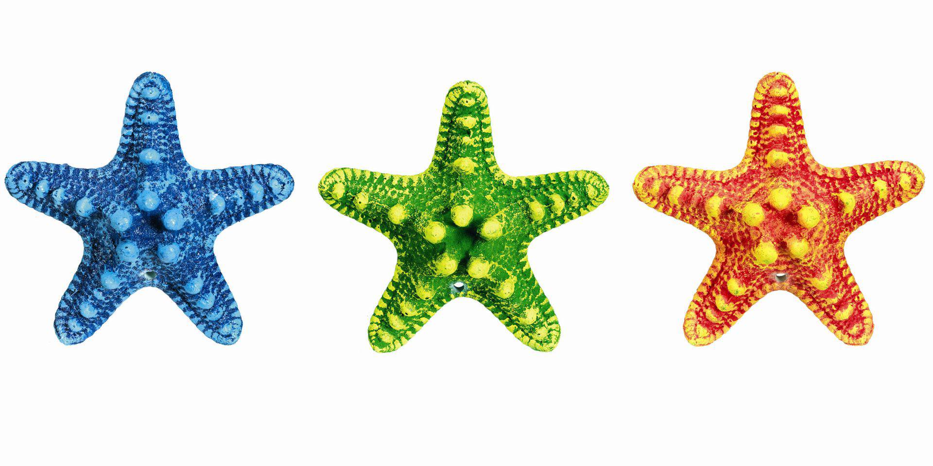 Accesorii pesti | Ornament pentru acvariu | "STARFISH" ASSORTMENT 4 | L8,5 X W8,5 X H3